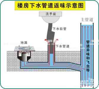 下水道突然反味特别大 下水道反味如何解决