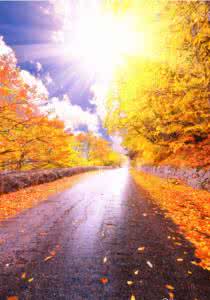 幸福就在下一个转角 若幸福不在路的转角，那它一定在路的尽头