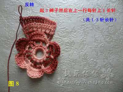 爱尔兰钩针编织图解 改良爱尔兰钩花钩织过程----“花菱草”