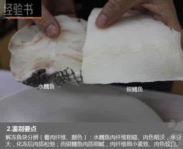 银鳕鱼图片 银鳕鱼和鳕鱼的区别