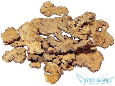 中药川芎的功效与作用 中药川芎的作用 川芎图片_川芎的功效与作用