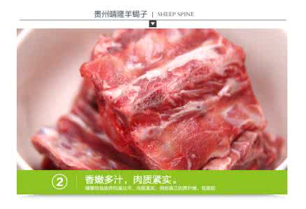 猪脊骨 (4)力源于脊骨之内，脊骨之开合。