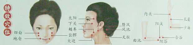 鹦鹉牌特效牙痛灵 牙痛穴 治疗牙痛的特效要穴