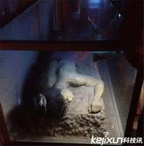 古代外星人记载秦始皇 真相还是谎言?秦始皇真跟外星人有过密切接触