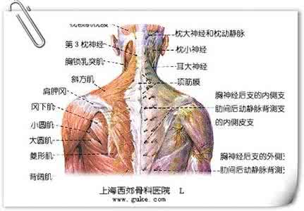 治疗男科的出名老中医 中医肩关节周围炎 肩关节周围炎的简化治疗