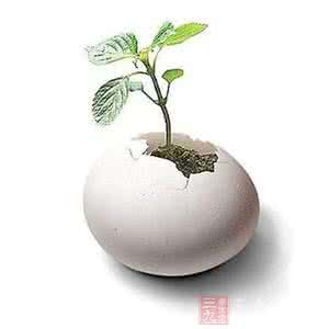 鸡蛋壳有什么用处 小鸡蛋大用处 吃用两不误