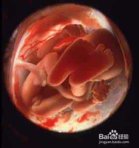 如何鉴别胎儿性别 如何更加科学的鉴别胎儿性别