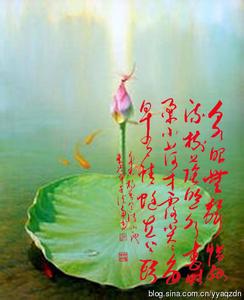 杨万里描写荷花的诗 杨万里描写荷花的诗 【杨万里的诗有哪些】杨万里写过的诗哪些