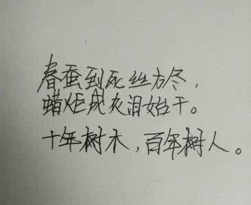 甲的一只羊走失 走失在阳光下的羊作文1200字