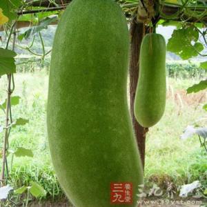 冬瓜汤的做法和功效 冬瓜的功效与作用 冬瓜的药用价值及做法