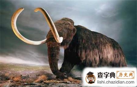 澳大利亚灭绝的动物 澳大利亚史前大型动物灭绝的直接原因是什么
