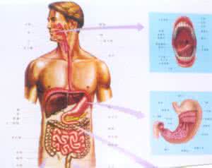 大舌头矫正和训练方法 大舌头矫正 这些方法可以纠正大舌头