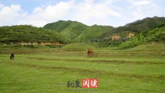 阴宅与阳宅风水区别 阴宅与阳宅风水区别 如何辨别阴宅阳宅的风水 看房屋风水图解