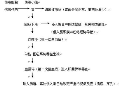 中医确有专长考试大纲 转 中医只有13种病（13病大纲）