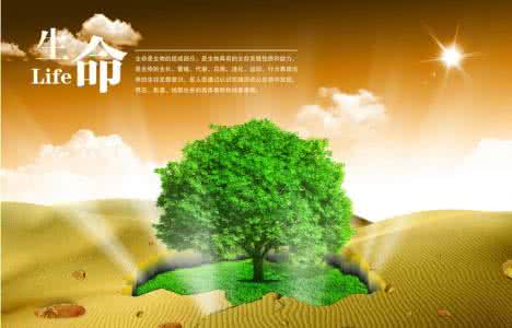 生命的意义在于什么 生命的意义在于绽放美丽，永葆一颗积极向上的心。