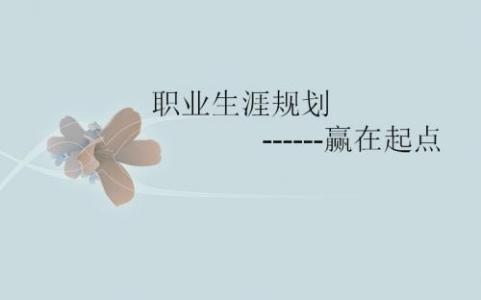 职业经理人目标责任书 以职业经理人为目标的大学生职业生涯规划书