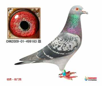 凡戴克 凡戴克的画室是什么样的 凡戴克有哪些作品