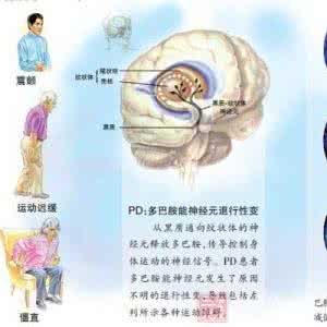 禽流感病毒变异 外媒称禽流感病毒再经两次变异就能人际间传播