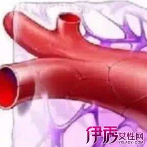 清理血管垃圾的秘方8 清理血管垃圾保养血管秘方