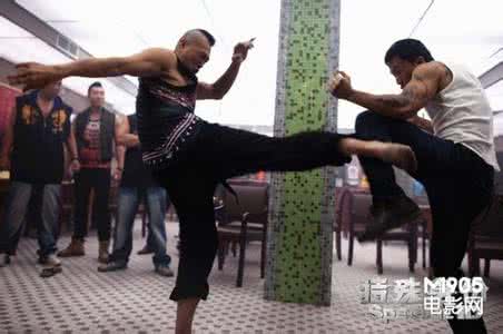 甄子丹特殊身份 邹兆龙 甄子丹 《特殊身份》甄子丹连战两大高手邹兆龙变黑帮