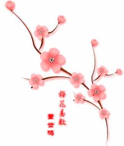 图解梅花易数 梅花易数