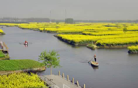 陌上花开春水初生全诗 图虫风光摄影：油菜花开---一河春水