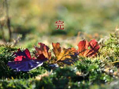 耽美快穿主受肉多文 为何反转多文傻？_太蔟