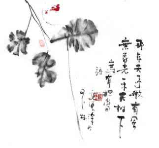 不能升华为智慧的读书,无法影响你的人生