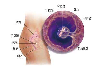 怀孕后什么时间做人流 怀孕后什么时间做人流 人流后再孕时间