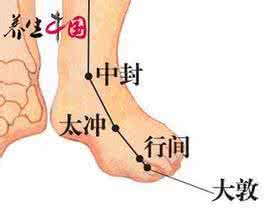 枸杞上火还是去火 5大上火症状可按摩不同穴位去火