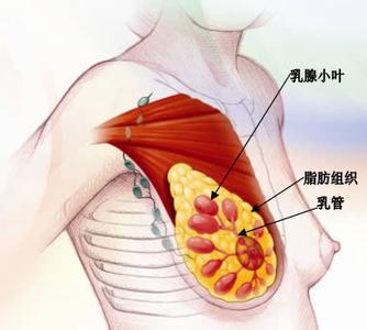 如何预防乳腺增生 预防乳腺增生 从三个方面做起