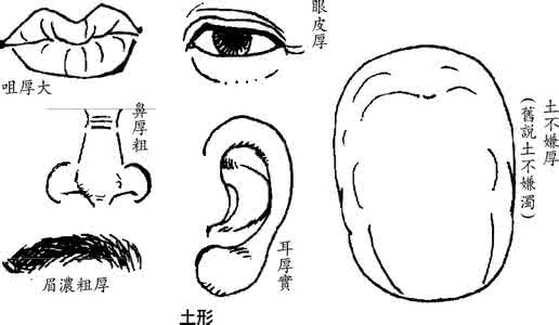 文言实词推断方法ppt 面相五行推断法 面相的五行断法