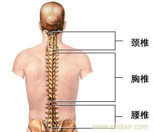 腰椎间盘突出病历 腰椎间盘突出,是一种什么病?大学教授的腰突康复秘诀