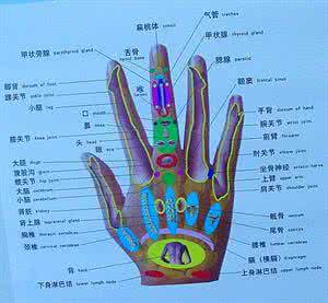 手掌全息图 【转载】手掌全息图