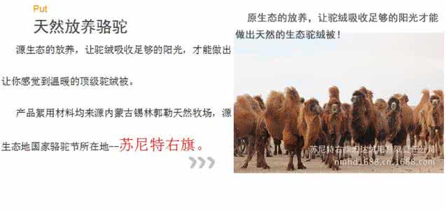 骆驼绒 骆驼绒的优点和缺点 驼绒被的三个优点介绍