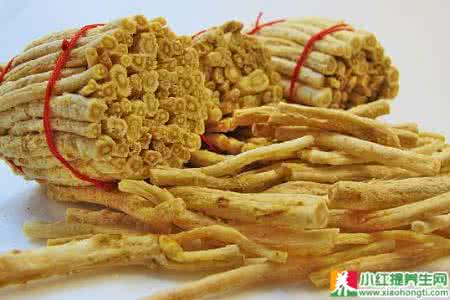 南沙参和北沙参的区别 南沙参的功效与作用