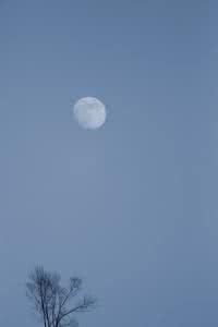 天空洒满了星星 中秋之夜 天空洒满了 中秋的天空