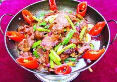 羊肉菜品 创新菜 各地不同羊肉菜品 1