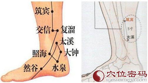 筑宾 【穴位】筑宾穴：治疗腹痛、肾炎、膝盖发软、睾丸炎、提高性欲等