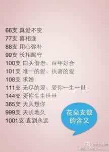玫瑰花支数的含义 花朵支数有什么含义
