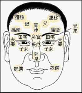 面相十二宫图解 解析:面相十二宫图图解
