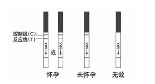 验孕纸怎么看图解 关于验孕测试纸怎么看？