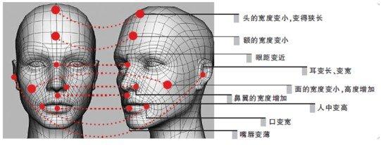 谁把汉族地位弄低的 汉族的形成历史体质特征和文化地位