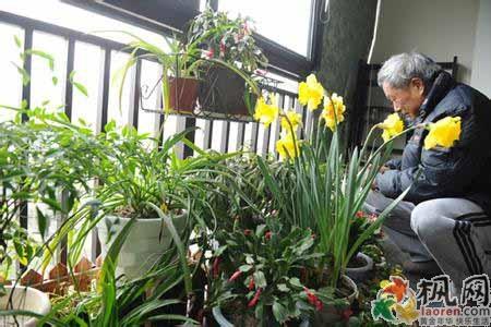 鸡蛋壳养花 养花用蛋壳，开花大又多，使用方法很重要！