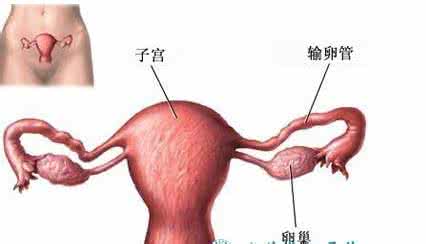女性输卵管堵塞的症状 输卵管堵塞 女性需要正确面对
