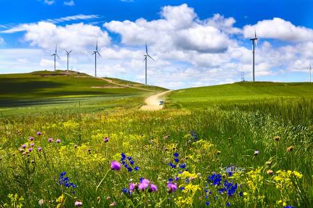 广东八大草原 河北八大草原 感受北国碧绿原野