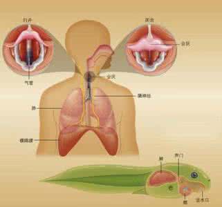 治疗打嗝妙招 8妙招治疗打嗝