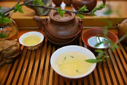 想知道谁看我的朋友圈 选茶必备!茶友都想知道的购茶攻略