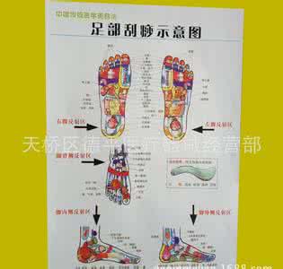 感冒刮痧刮哪个部位 中医指导8个部位刮痧提高健康指数