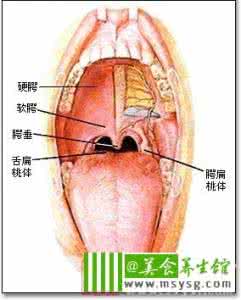 扁桃体发炎怎么治疗 扁桃体发炎快速治疗 阴部发炎怎么办 个人卫生与治疗要做好
